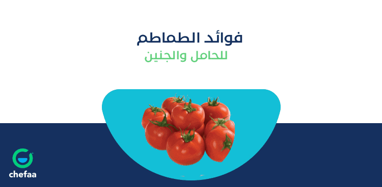 فوائد الطماطم او البندورة للحامل في الشهور الأولي