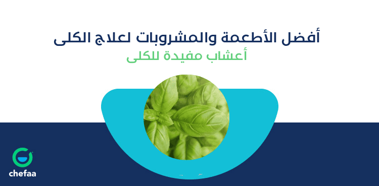 مشروبات لعلاج الكلى