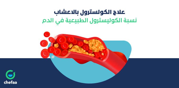 علاج الكولسترول الضار والدهون الثلاثية بالاعشاب