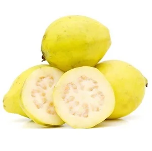 فوائد الجوافة للحامل