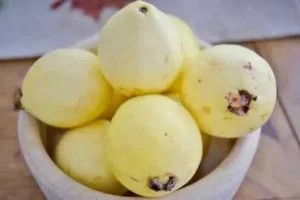 فوائد الجوافة للرجال