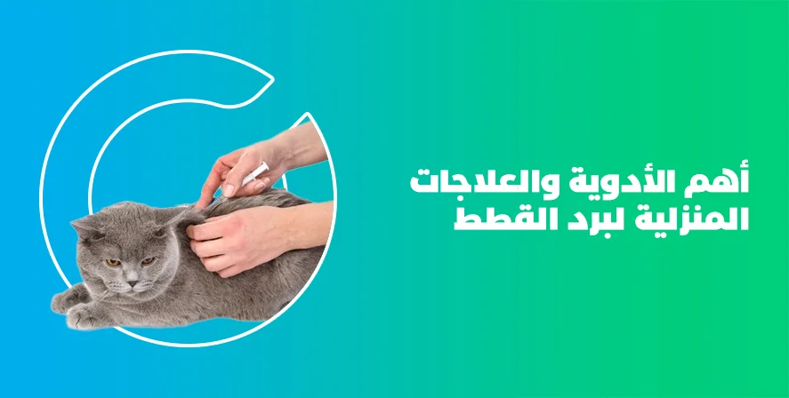 علاج برد القطط من الصيدلية البشرية