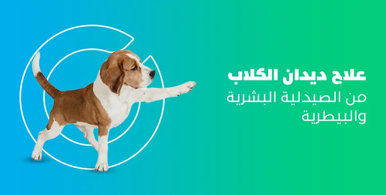 علاج ديدان الكلاب من الصيدلية البشرية