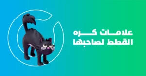 علامات كره القطط لصاحبها