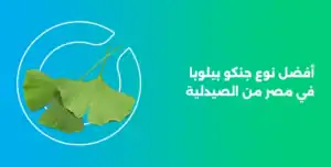 أفضل نوع جنكو بيلوبا في مصر