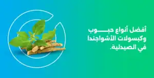 كبسولات الاشواجندا في الصيدلية